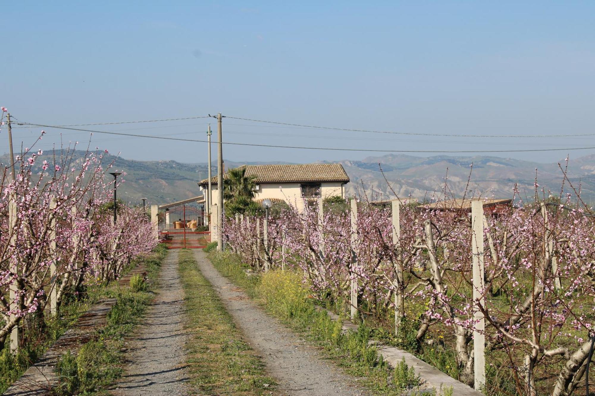 Hotel Ranch Simeto Paterno  Esterno foto