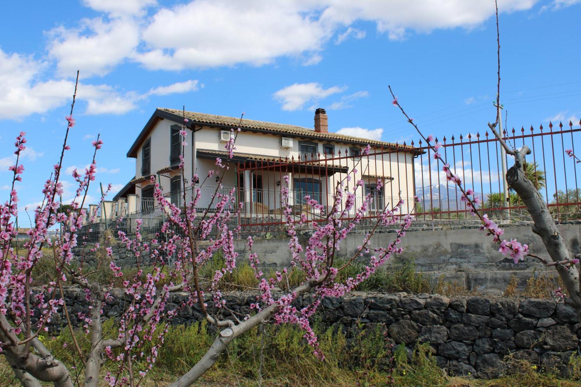 Hotel Ranch Simeto Paterno  Esterno foto